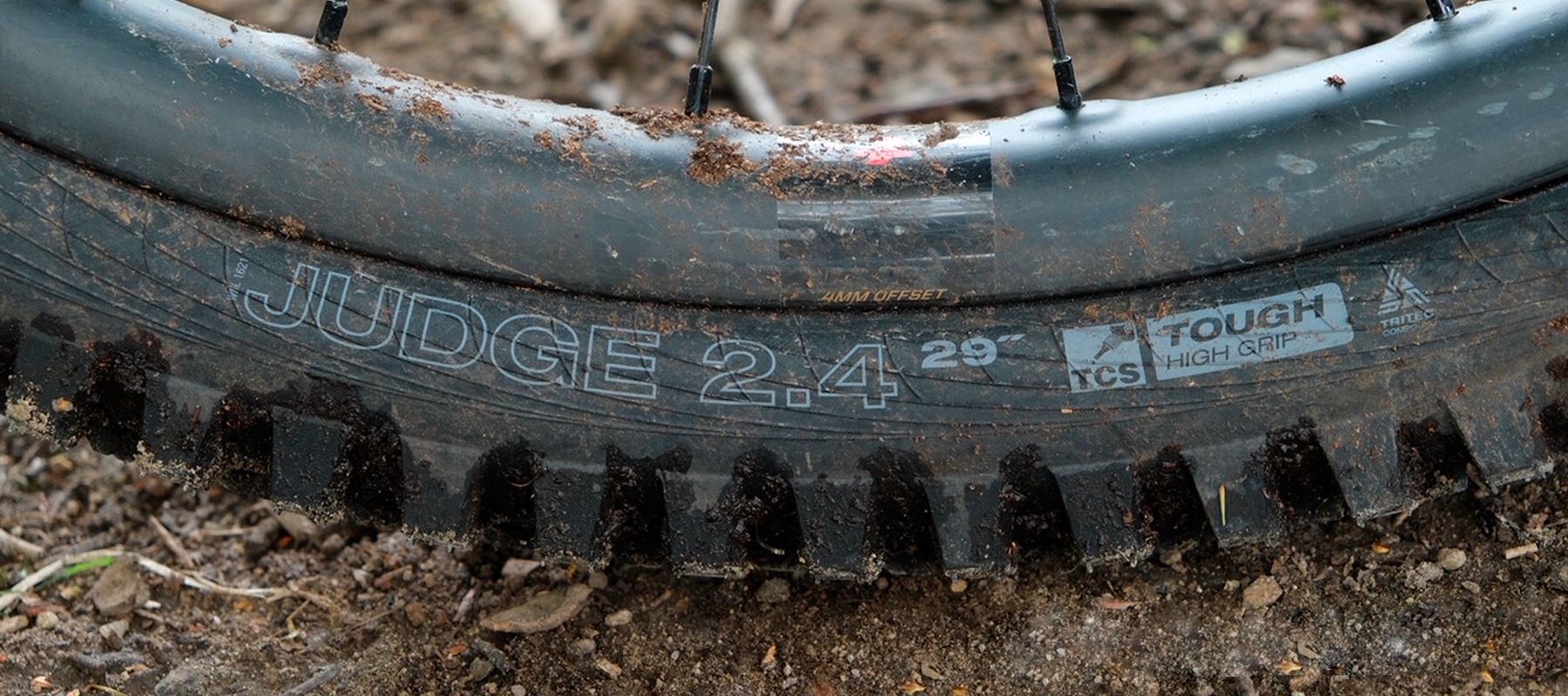 Close up of a WTB Judge rear tyre fitted to a MTB wheel
