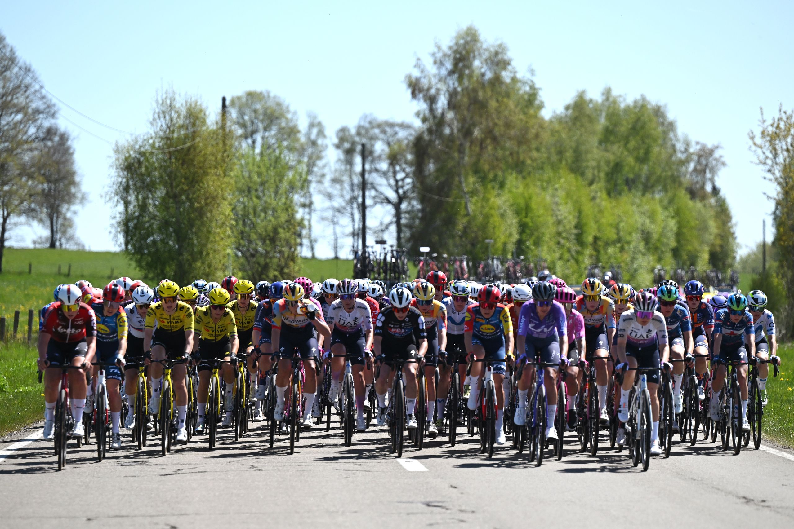Les cyclistes professionnels sont de plus en plus jeunes