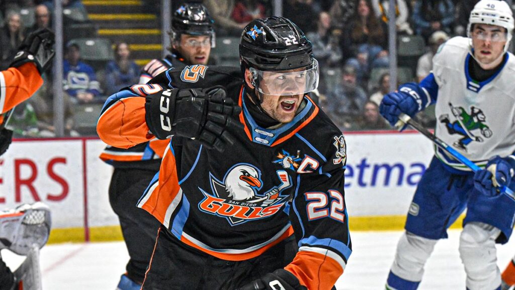 Rosters et cartes de profondeur en cours de construction pour la saison prochaine | LaAHL.com