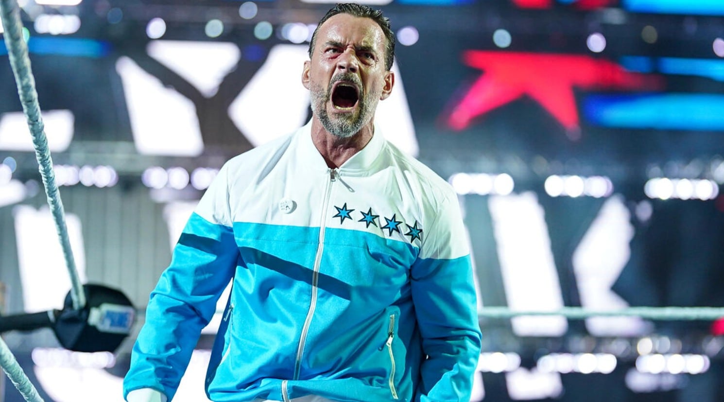CM Punk in WWE