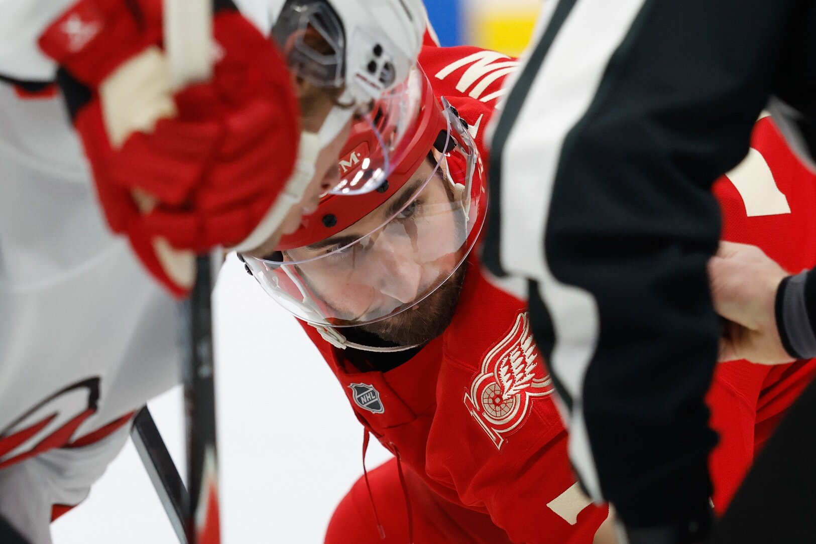 Wild n'en a tout simplement pas assez pour faire atterrir Dylan Larkin - Wilderness Walk